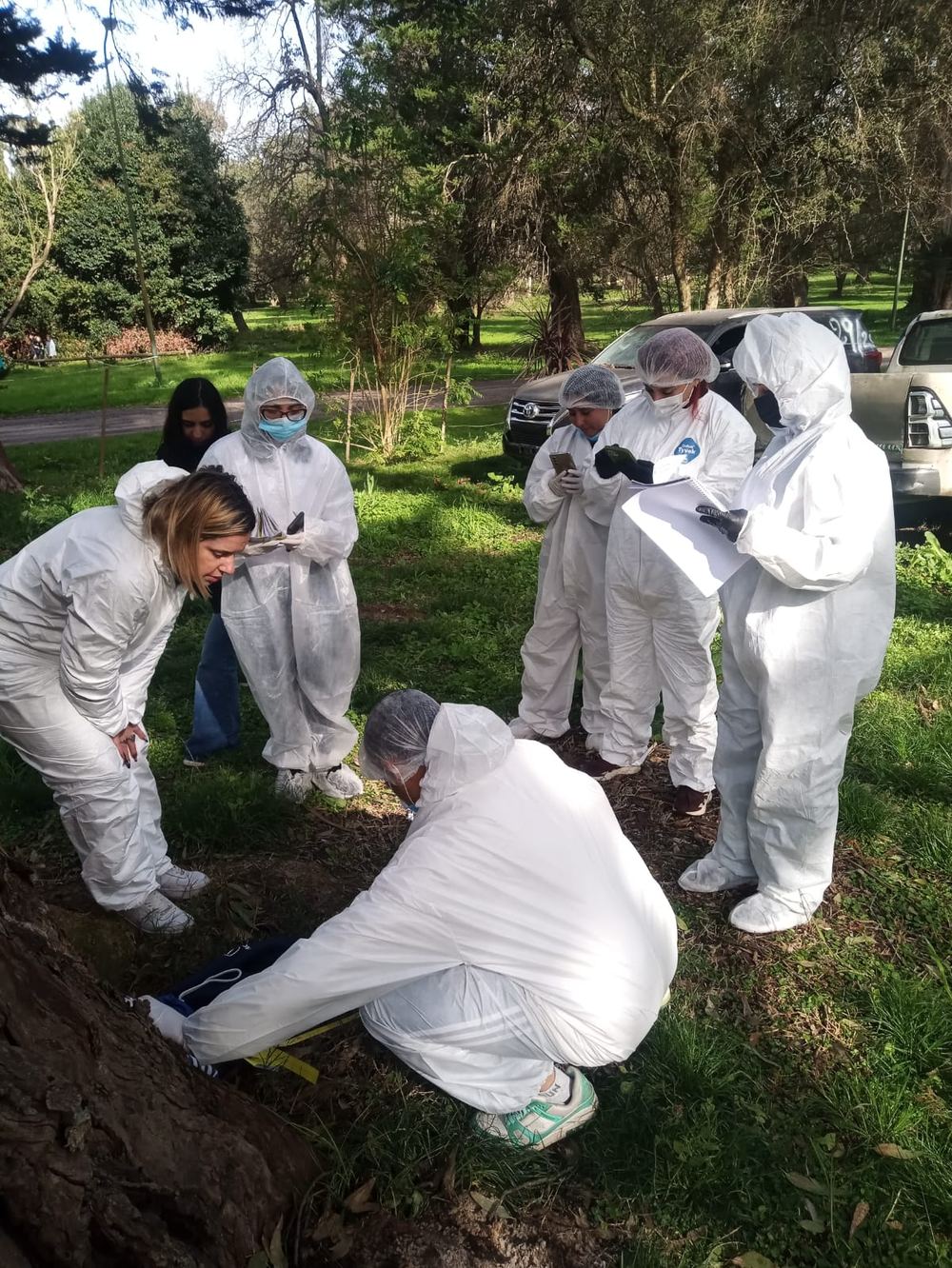 Alumnos analizando un indicio al pie de un árbol mientras toman notas
